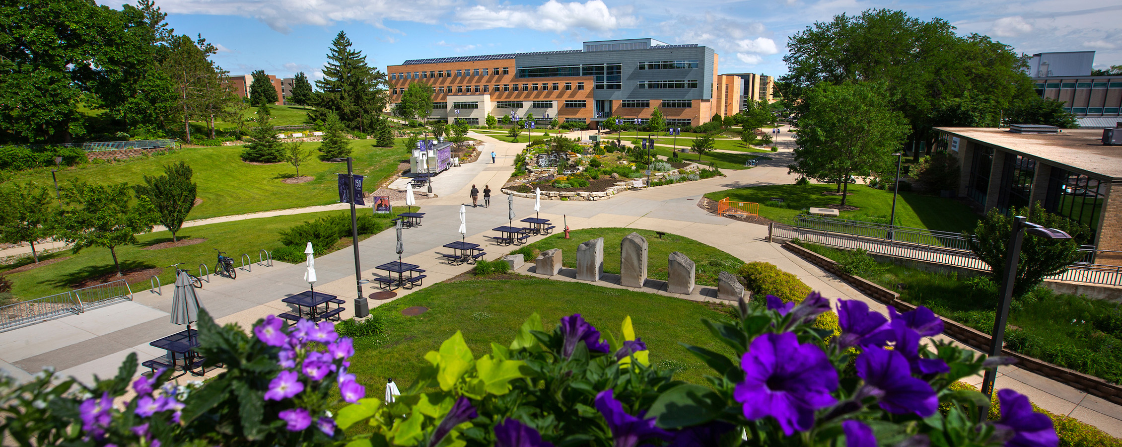Overhead view of UW-Whitewater campus with purple flowers in the foreground
