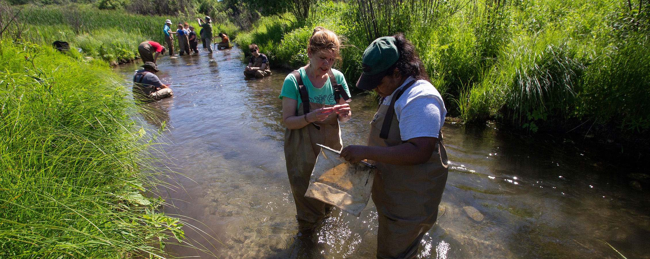 Students wearing waders stand in stream during freshwater camp