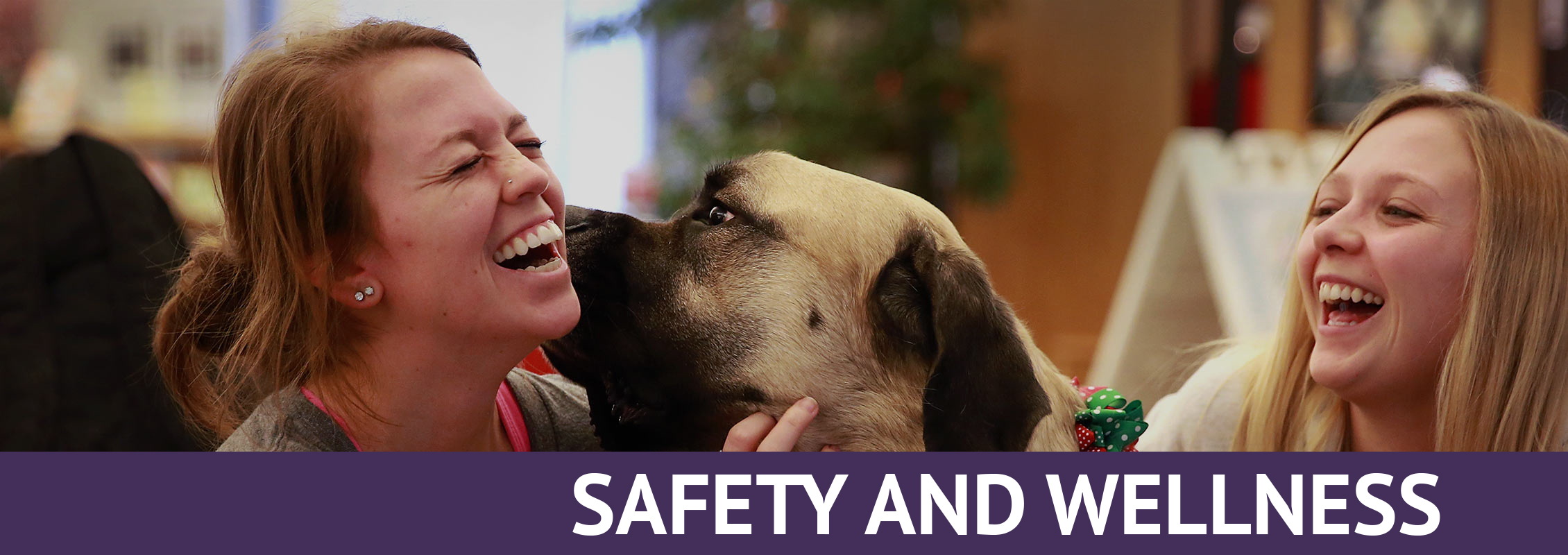 Safety and Wellness: Two students laughing as they pet a dog