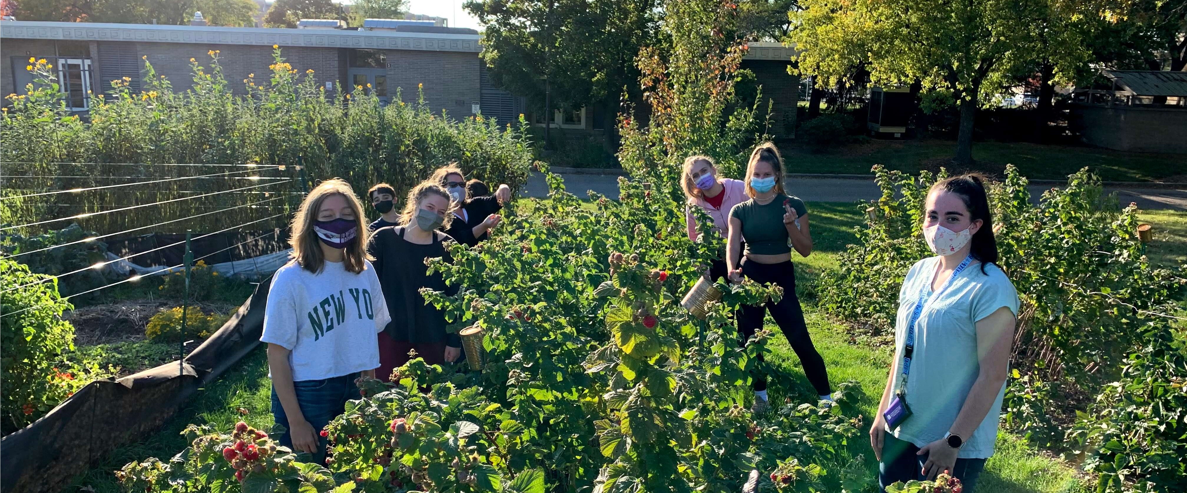 Honors Advantage Learning Community Garden Tour