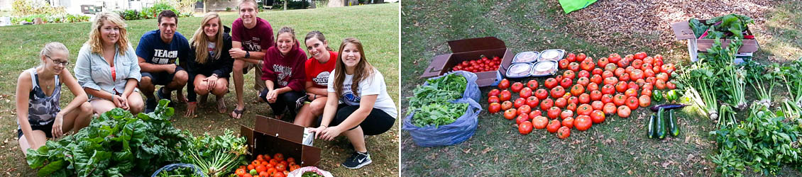 Students harvesting crops