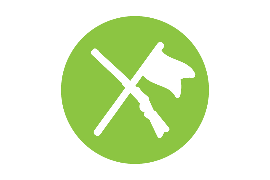 Green icon of a rifle and a flag.