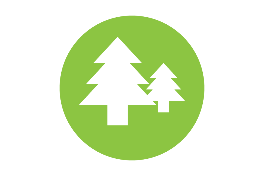 Icon of white trees on a green background.