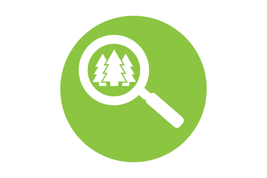 Green icon of a magnifying glass inspecting trees.