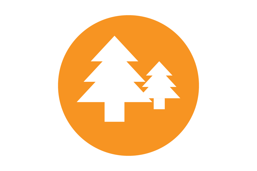 Orange icon of trees.