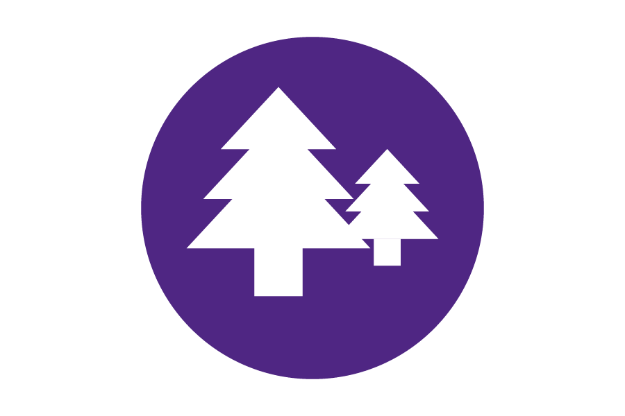 Icon of white trees on a purple background.