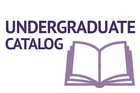 Course Catalog