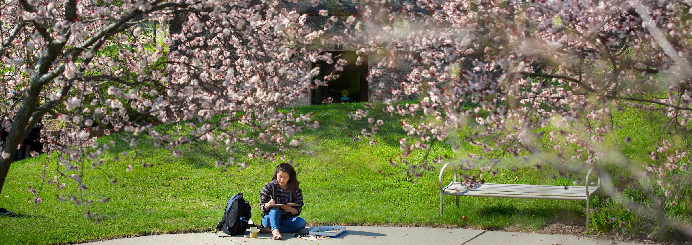 UW-Whitewater student studying outdoors