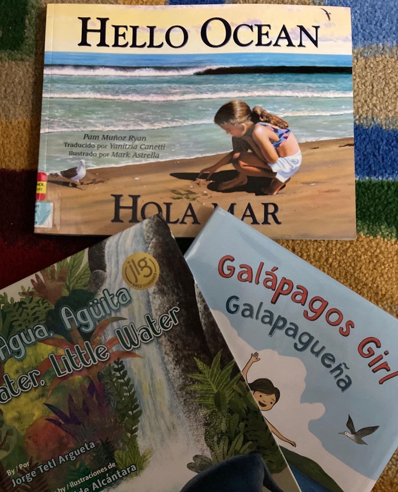 3 book covers: Hello Ocean, Agua Aguita, Galapagos Girl