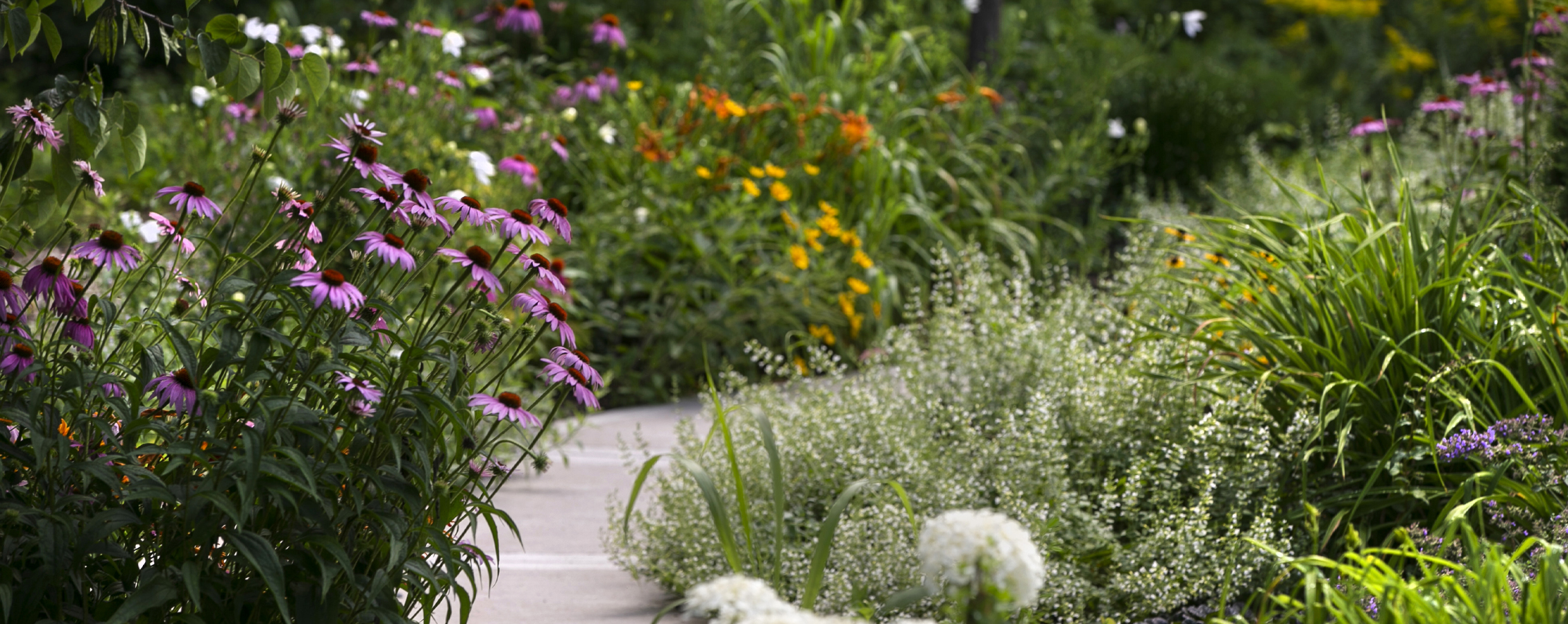 Flowers in the Memory Garden.