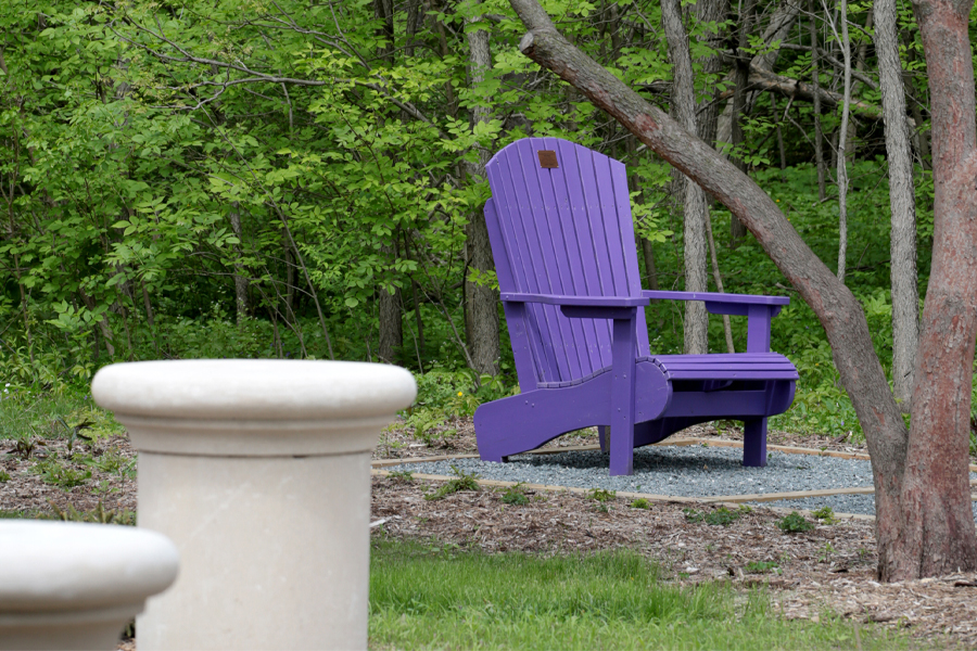 Purple chair in the garden.