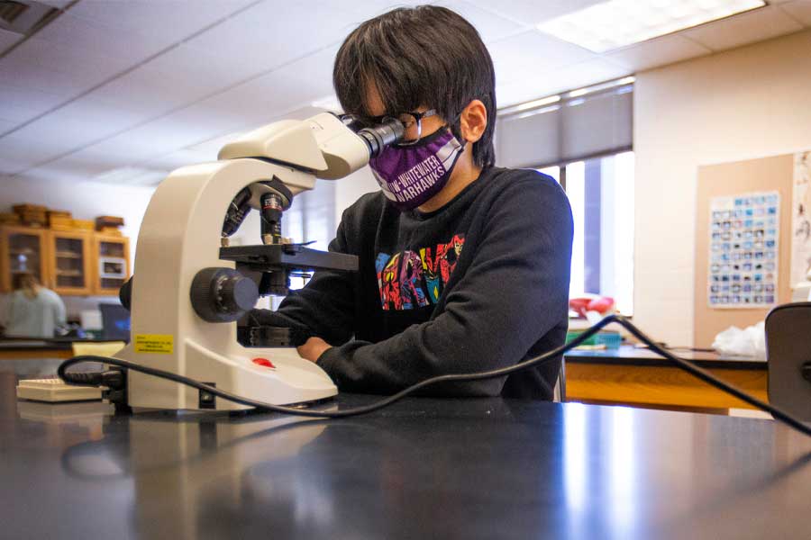 A student is working in the lab next to a microscope.