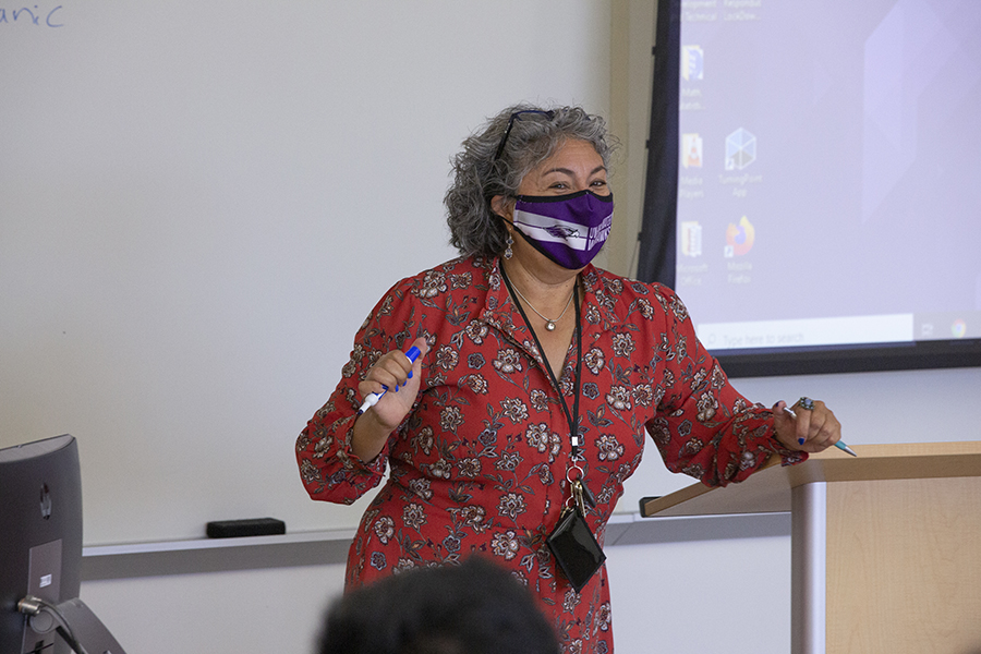 Pilar Melero teaches a class.
