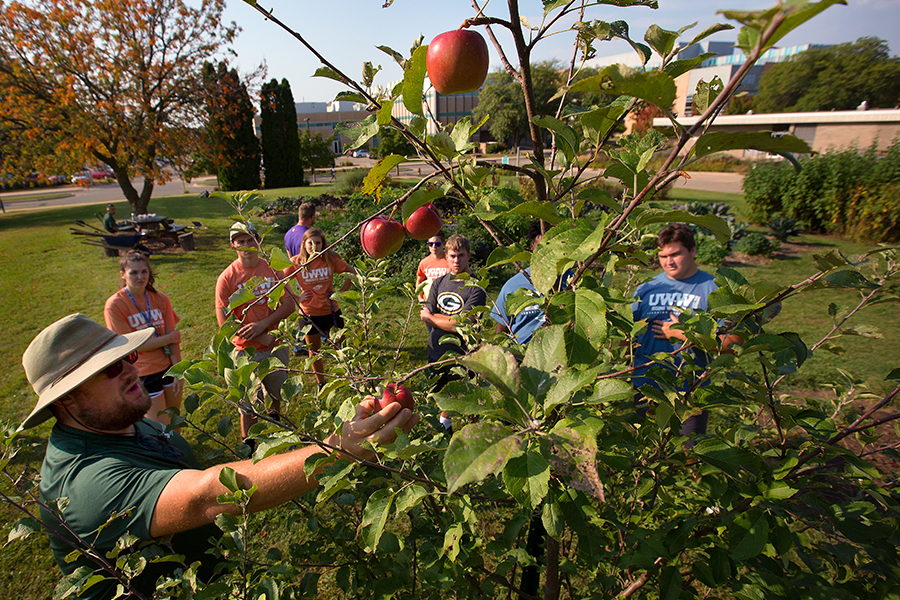 Sustainability efforts win UW-Whitewater national recognition