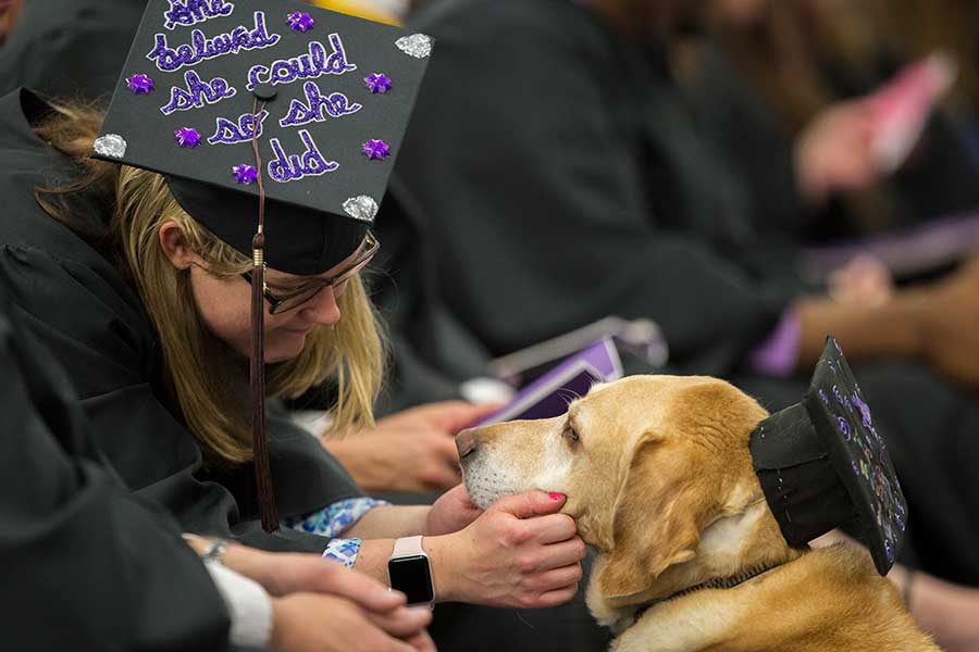 Student with service dog in graduation cap and gown.