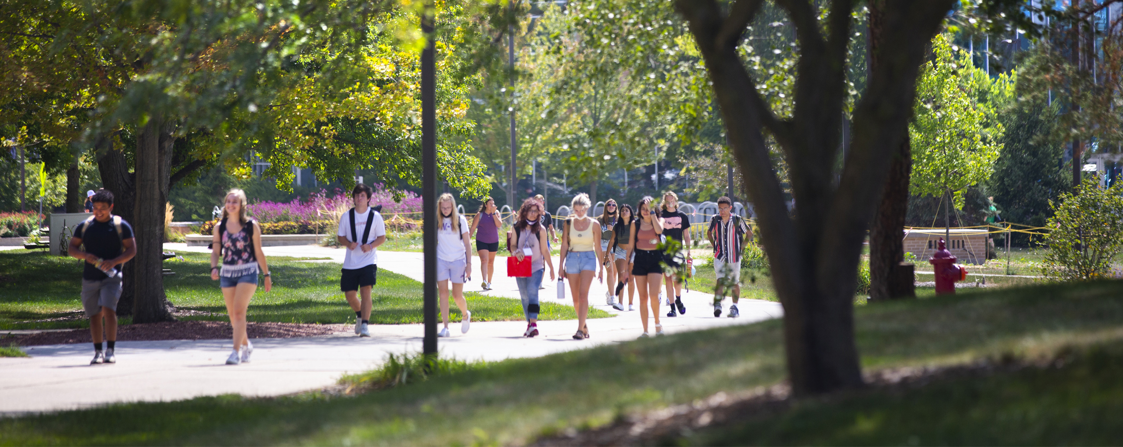 Students walk down a sidewalk lined with trees.