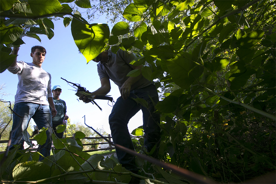 Three people stand in wooded brush.