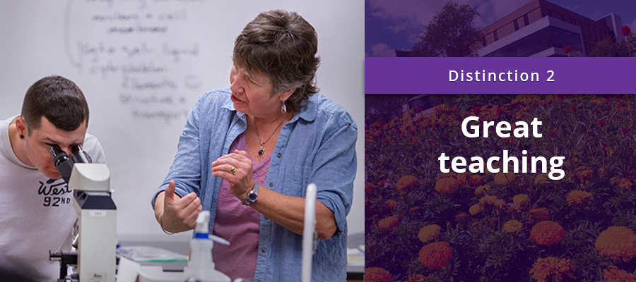 On the left, a teacher works with a student looking in a microscope, on the right, on a purple background, it says Distinction 2 Great teaching.