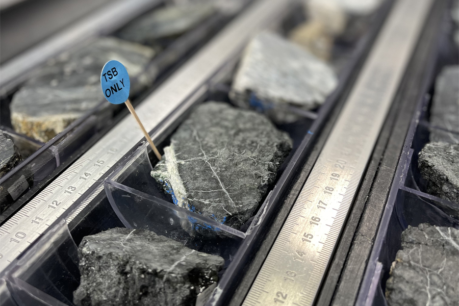 Gray rocks sorted in trays.