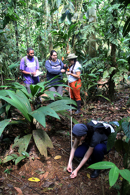 Four people stand in the jungle with research tools.