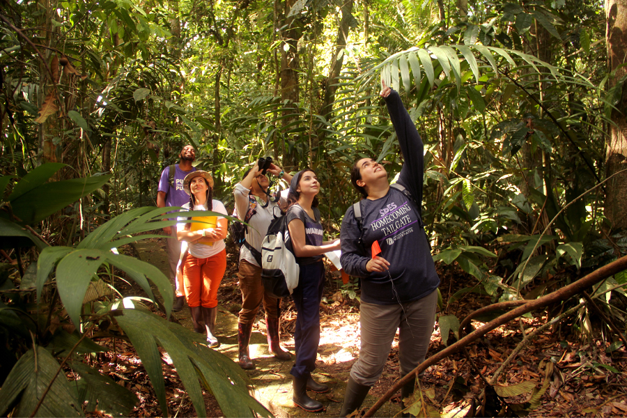 Students and faculty members walk through a jungle.