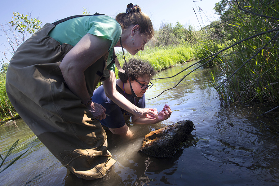 A faculty member and a student collect tiny aquatic organisms from a river.
