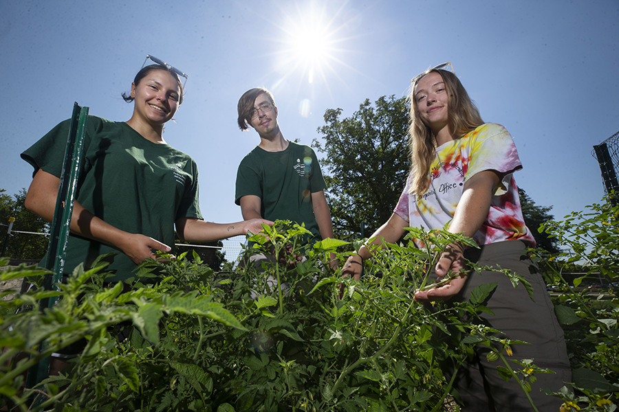 Three students stand in the garden with the sun shining overhead.