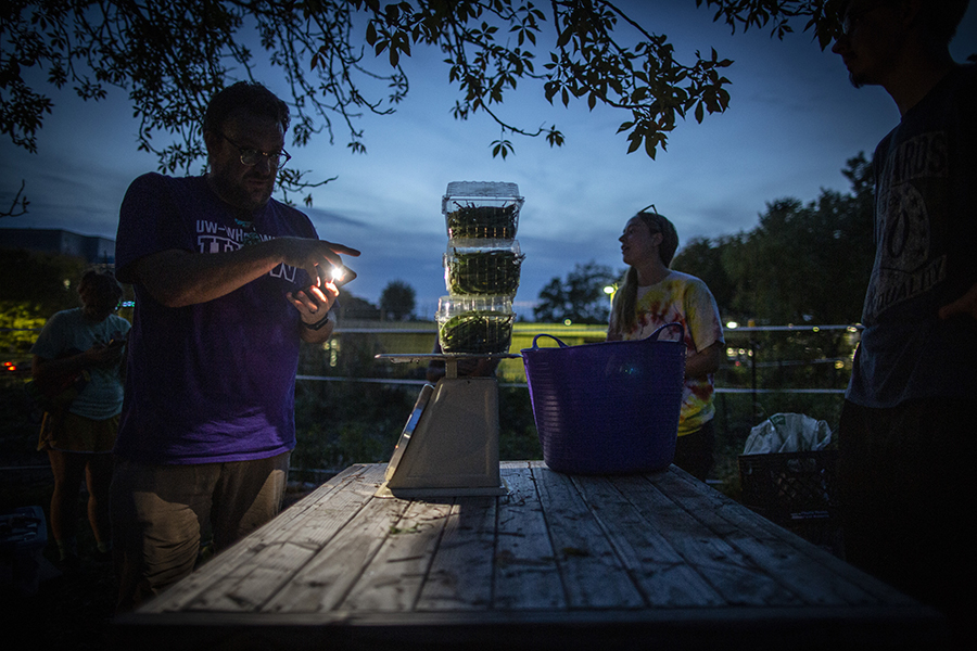 A person uses a cell phone falshlight to provide light while weighing vegetables on scale.