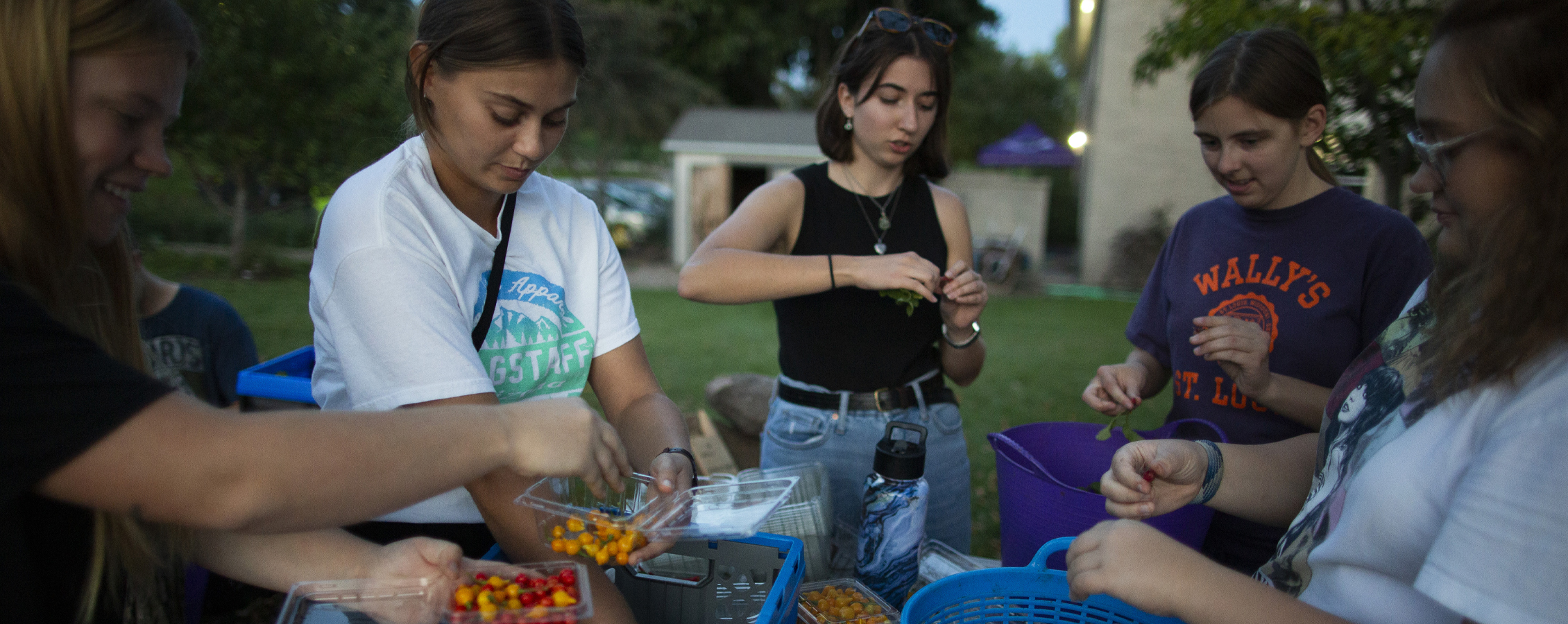 Students sort vegetables into smaller baskets.