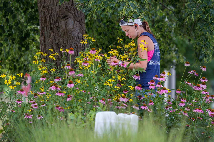 A student works outside among flowers.
