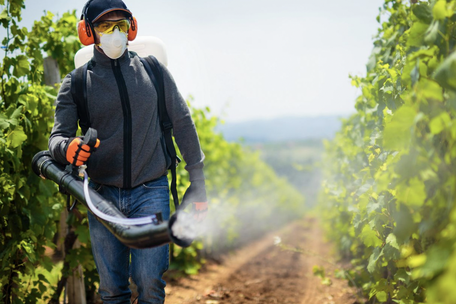 A student walking down a farm field. 