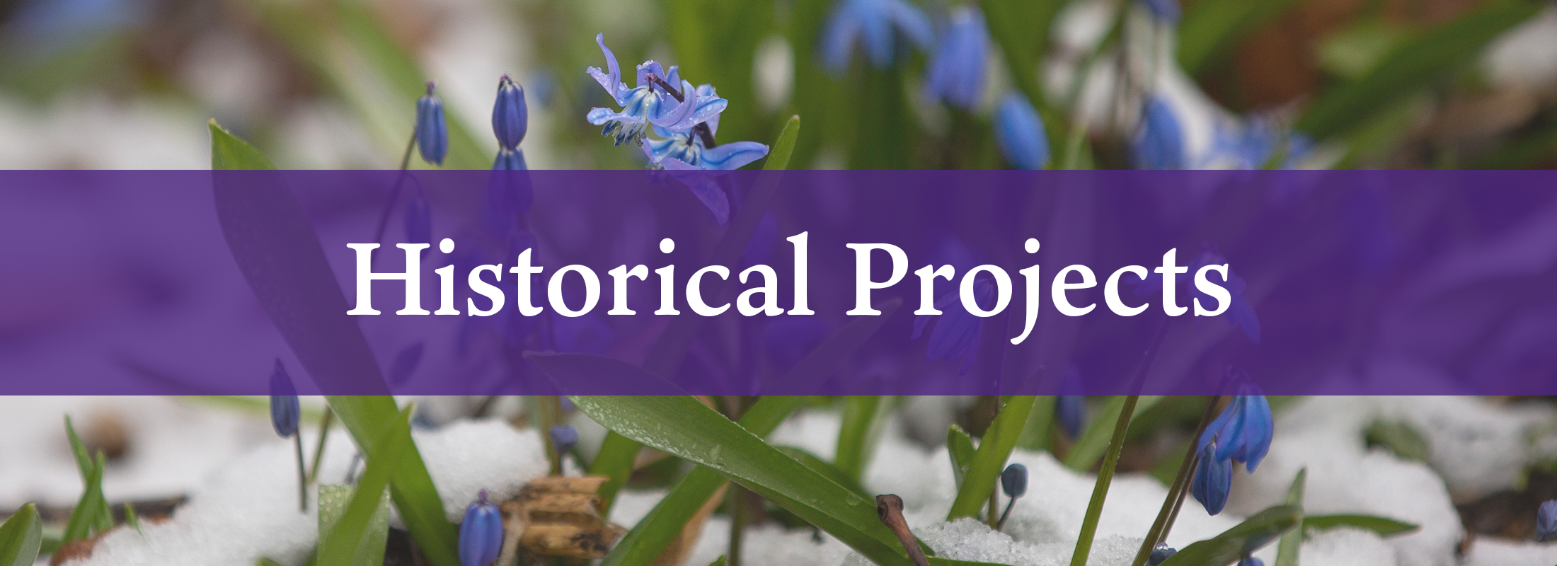 Historical Projects
