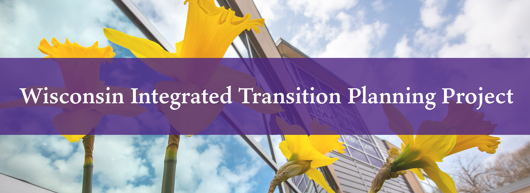 Wisconsin Integrated Transition Planning Project Banner
