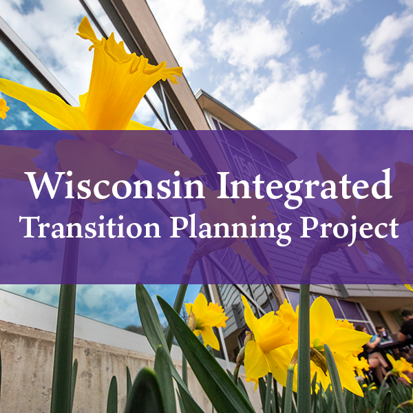 Wisconsin Integrated Transition Planning Project Button