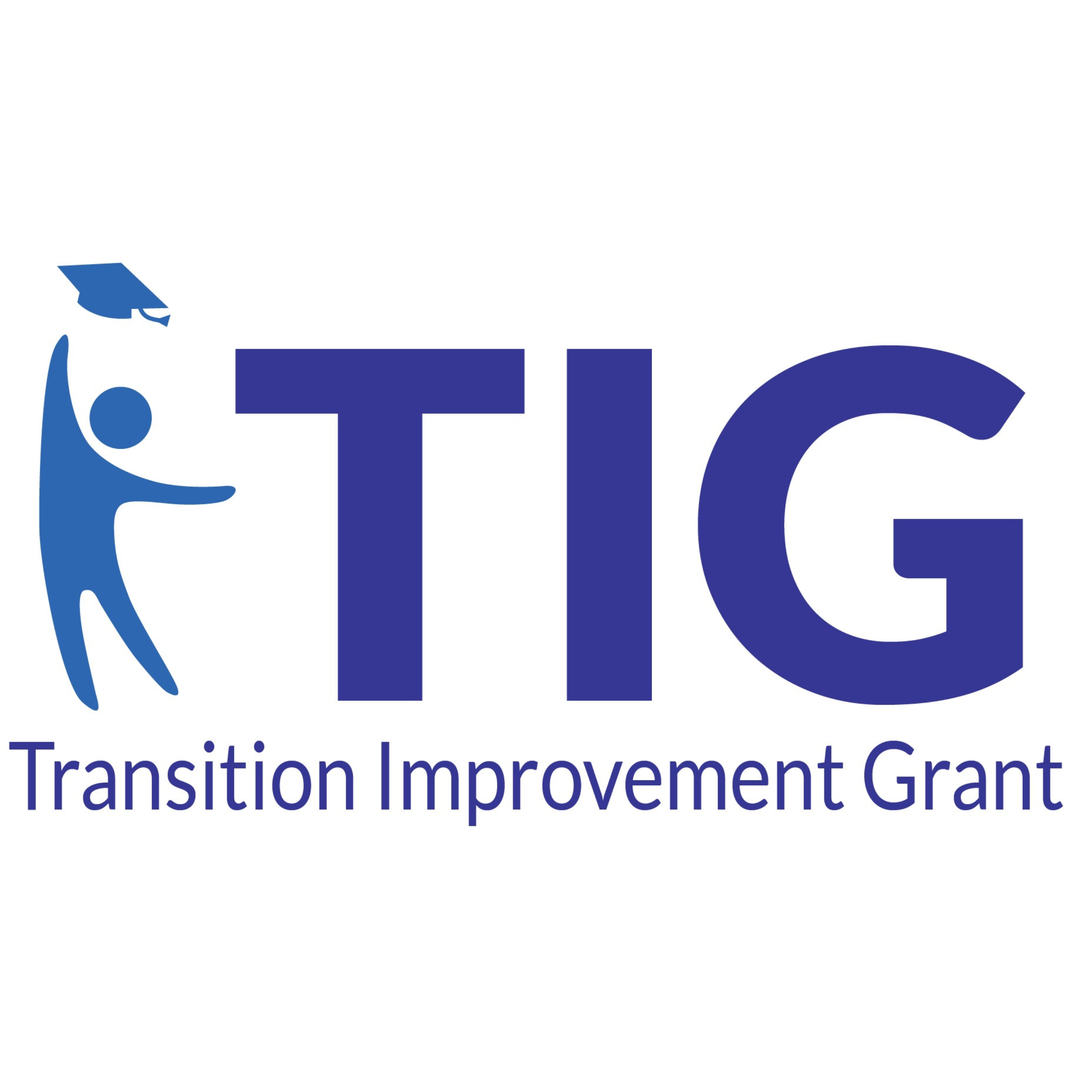 Transition Improvement Grant