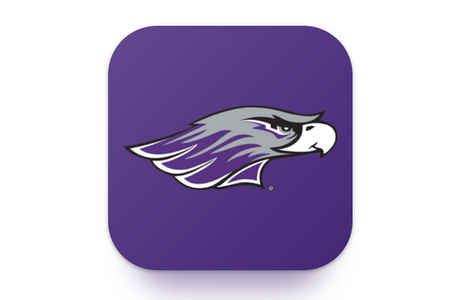 The hawk head on a purple background.
