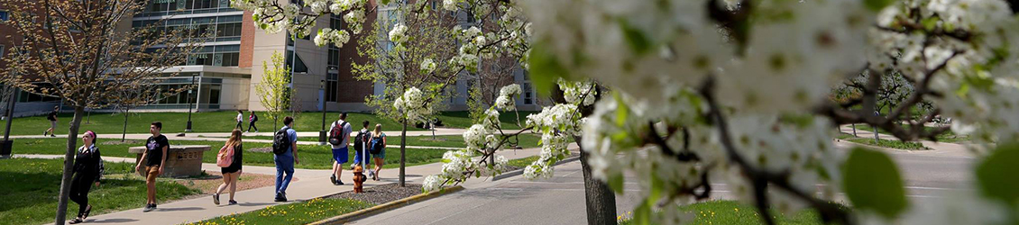 Students using WINS at UW-Whitewater