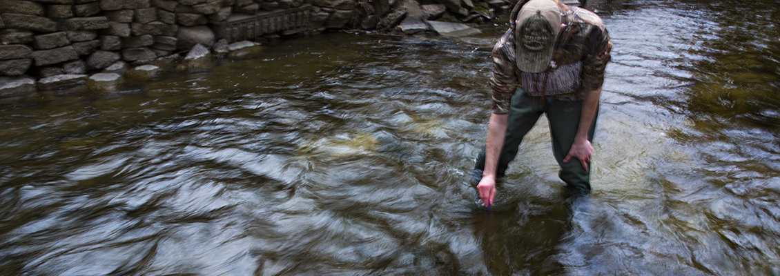 Stream Monitoring