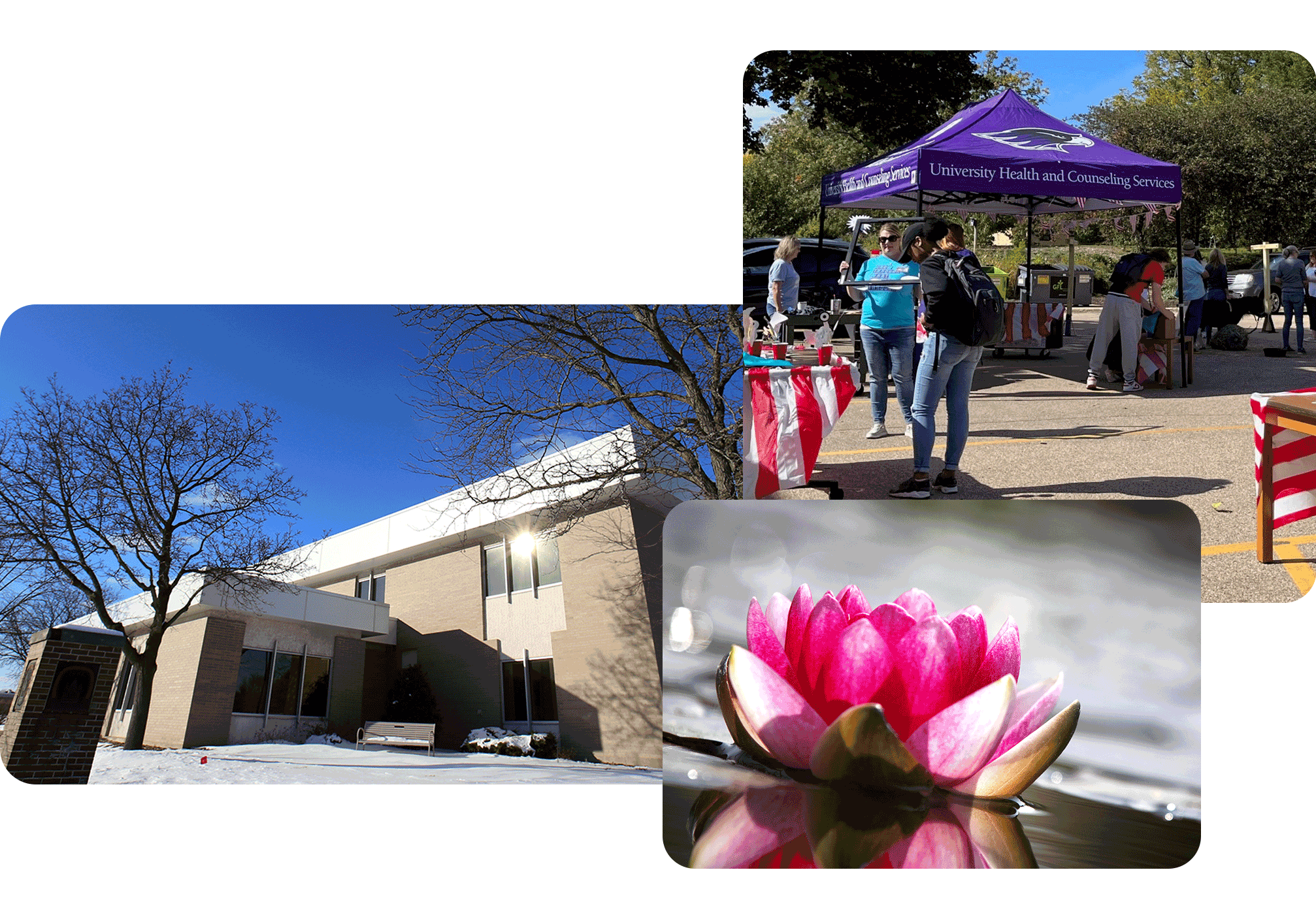 A collage of three photos showing the exterior of Ambrose Health Center, people gathering around a purple pop up tent, and a pink lotus flower.