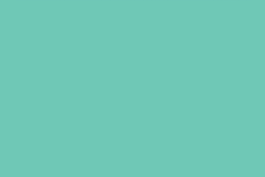 Mint green rectangle.