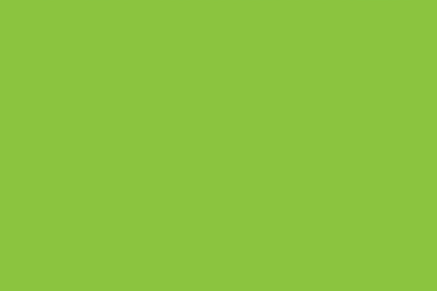 Lime green rectangle.