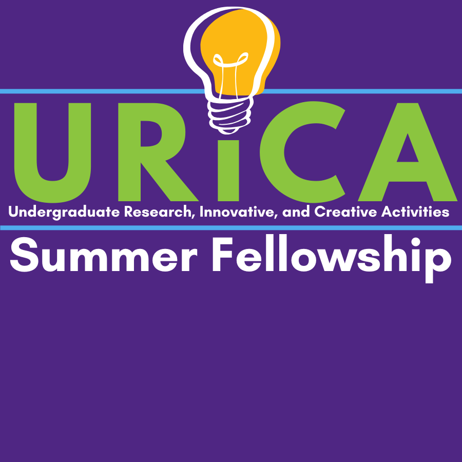 URiCA Summer Fellowship